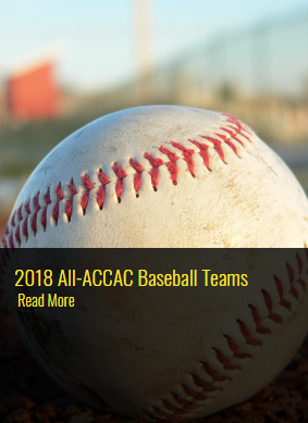 Central has three pitchers and four hitters acknowledged for 2018 season.
