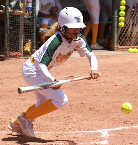 New coach, new season for Central Arizona softball